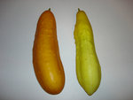 DSC05583.JPG