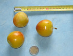 Prunes 0071.jpg