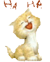 hahaha10.gif