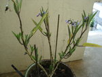 DSC01883.JPG
