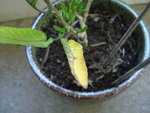 DSC01885.JPG