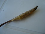 DSC01886.JPG