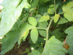 IMG_5666.JPG