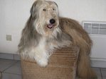 IMG_0029b.jpg