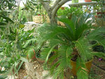 DSCN3556.JPG