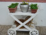 DSCN0445.JPG