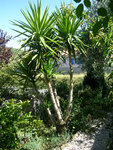 DSCN3562.JPG