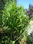 DSCN3563.JPG