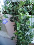 DSC03290.JPG