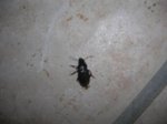 DSCN5395.JPG