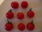 tomate 89.jpg