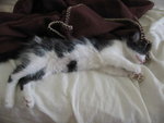 img1911r.jpg