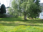 autre point de vue de mon jardin (à droite)