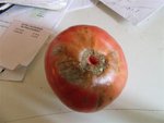 DSCF7539 (Small).JPG