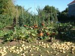 DSC03665.jpg