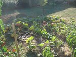 DSC03673.jpg