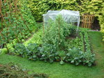 DSC01299.JPG