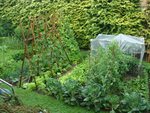 DSC01300.JPG