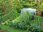 DSC01301.JPG