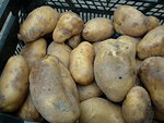 DSCN0196.JPG