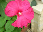 DSCN3570.JPG