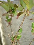 DSC06768.JPG