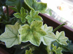 DSCF5084.JPG