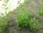 P04-08-09_18.49.JPG