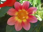 X-Fascination-09-43870.jpg