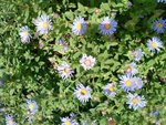 DSC000061.JPG