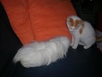 mumu et abyss.jpg