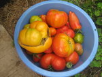 exemples, de mon jardin...