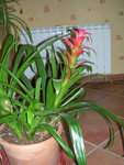 DSCN3596.JPG