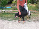 mimi 003.JPG