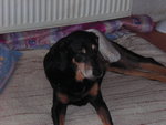 mimi 011.JPG