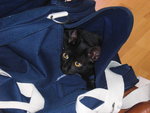 mimi 008.JPG