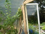 DSC02905.1.JPG