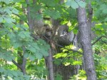 IMG_0768.jpg