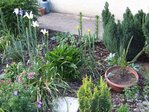 2008_0522jardin0024.JPG