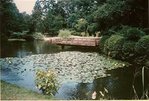 bassin-2-web.jpg