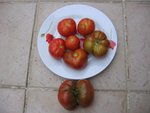 tomate 111.jpg
