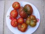tomate 110.jpg