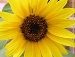 2009 08 02_003.JPG
