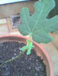 Photo_0354.jpeg