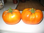 Persimmon
