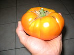 Persimmon