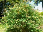 IMGP0764.JPG