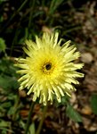 DSC01134.JPG