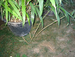 IMG_4229.JPG