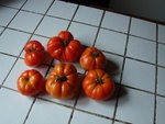 DSC01333.JPG